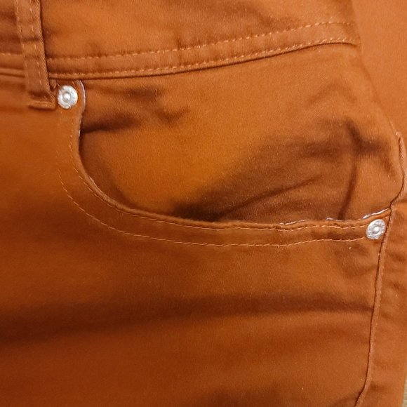 Classic PLUS   High Rise Rust Colored Bootcut Jeans Sized16W - Picture 12 of 13